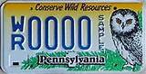 River Otter License Plate Pa Photos