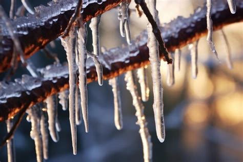 Premium Ai Image Closeup Of Icicles Hanging From A Tree Branch