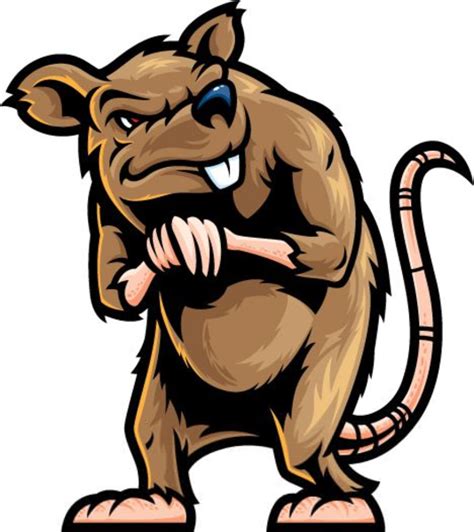 Angry Rat Clipart 10 Free Cliparts Download Images On Clipground 2024