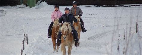 Horseback Riding In The Winter Småland Sweden For Real Lantgård