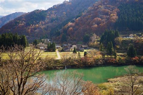 The website collected by this website comes. 五箇山 - 偲フ花