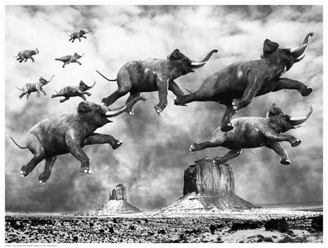Flying Elephants Fairfield Art Publishing
