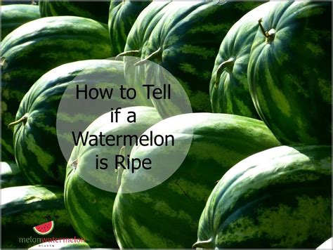 7 Foolproof Tricks To Determine The Perfectly Ripe Watermelon Every