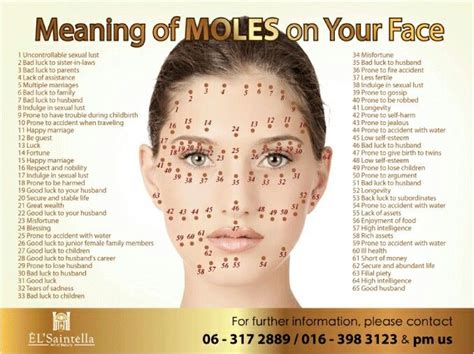 Meaning Of Every Mole On Your Face Moles On Face Face Face Reading