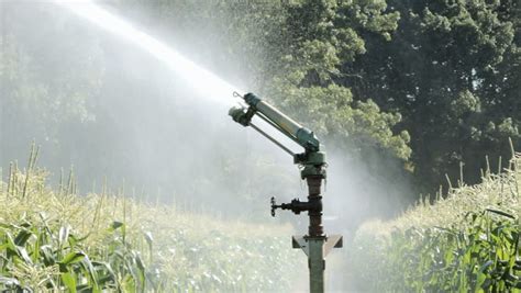 Royalty Free Water Sprinkler Spraying In Garden 2693441 Stock Video