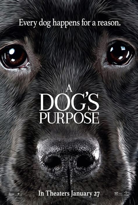 A Dogs Purpose 2017 Trailer