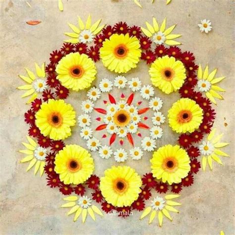 15 Beautiful And Colorful Flower Rangoli Designs Ideas For Pongal 2020 Iforher
