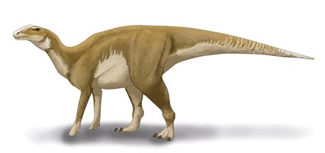 Hadrosaurus Prehistoria Fandom Fandom