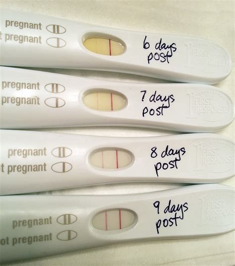 Positive 7 Dpo Pregnancy Test Pictures - Lainey Love