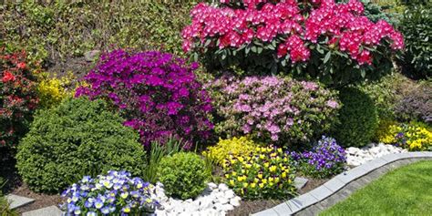 How To Choose Plants For Landscaping Home Design Lover