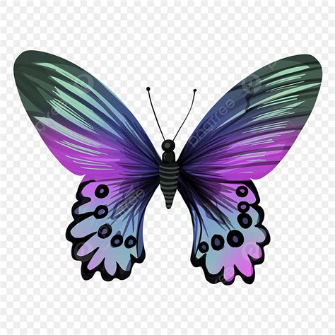 Black Purple Butterfly A Png Butterfly Illustration Black Imagem