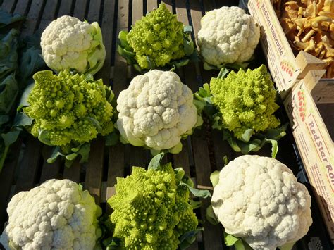 How To Grow Cauliflower Garden And Happy