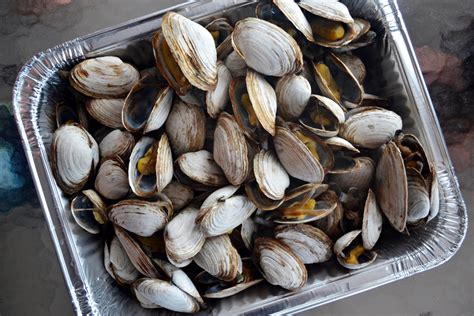 New England Steamed Clams Guide And Recipes New England Today