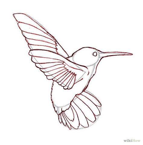 How To Draw A Simple Hummingbird Draw Easy