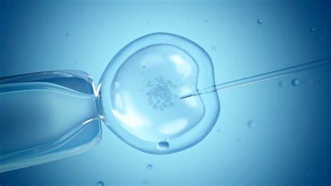 lawsuit dna test reveals fertility doctor used his own sperm to impregnate patient