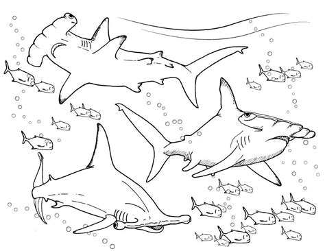Printables free printable squirrel holding flowers coloring page Hammerhead shark coloring pages from Finding the True ...