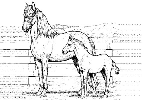 46 pferde vorlagen und pferde homepagevorlagen. Ausmalbilder Pferde 1 | Ausmalbilder