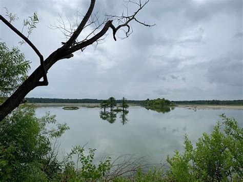 Alligator Lake Recreation Area Lake City 2022 Ce Quil Faut Savoir