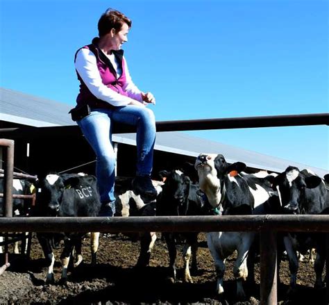 Fort Morgan Dairy Farmer Mary Kraft Nears End Of Her Term As First