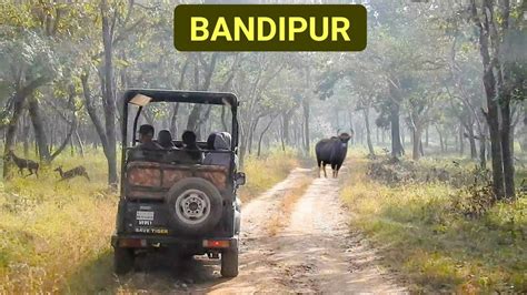 Bandipur Safari Bandipur Tiger Reserve And National Park Dotgreen Youtube