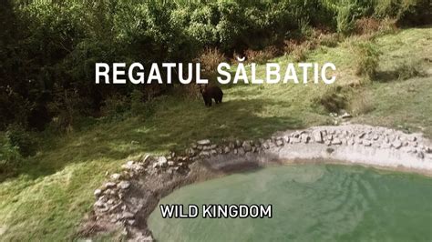 The Wild Kingdom Youtube
