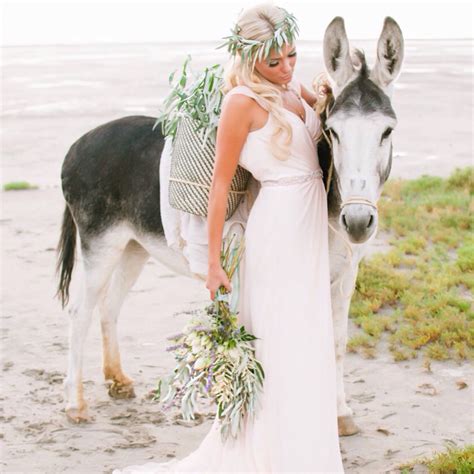 Grecian Bride Blush Wedding Dress Girl And Donkey Long Blonde Hair