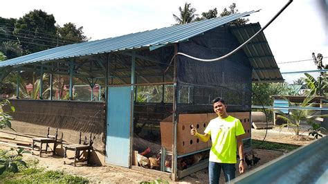 Maybe you would like to learn more about one of these? Gambar Reban Ayam Kampung Moden