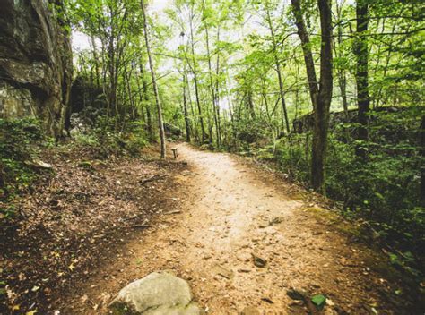 Walking Trails Near Me Ultimate Guide For Travelers