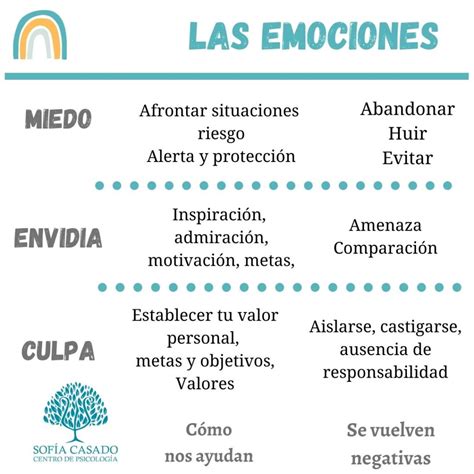 Las Emociones Y La RegulaciÓn Emocional Centro De Psicología Sofía Casado