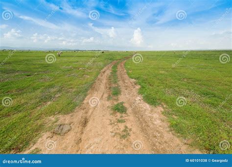 Soil Road Between Grass Field Stock Photo Image Of Meadow Ground