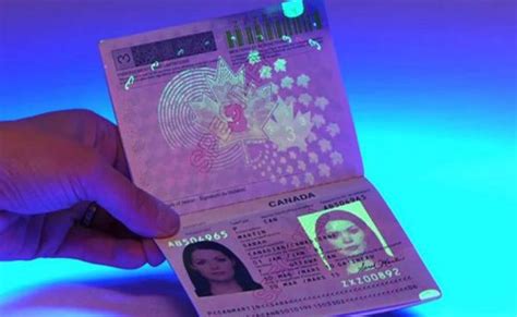 The New Mexican Electronic Passport The Yucatan Times