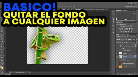 C Mo Hacer Una Imagen Transparente En Photoshop Imagen Sin Fondo