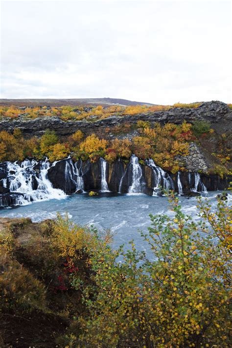 Hraunfossar Waterfalls In West Iceland Are Formed By Rivulets Streaming