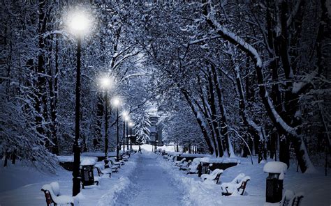 Snowy Park At Night Winter Natural Landscape Wallpaper Preview