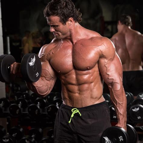 New Arm Program Up On Link In Bio Body Builder Fitness Goals Gym Men