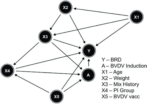 Directed Acyclic Graph Dag Of The Relationship Among Outcome