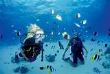 Images of Cruises With Scuba Diving