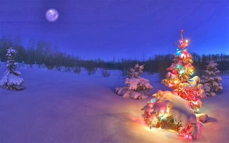 Free Download Desktop Backgrounds 4u Christmas Scenes 1280x800 For