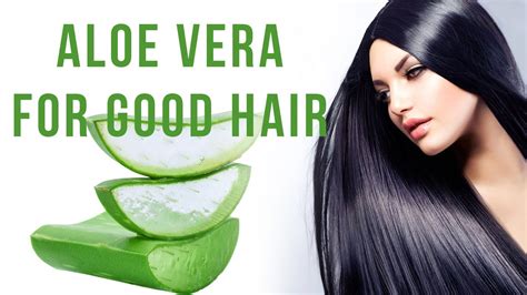 Thus, hair growth is one of its many incredible benefits. 4 Methods Of Using Aloe Vera for Good Hair | Hair Growth ...