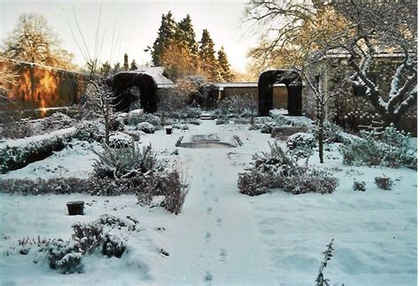 Pros y contras de cultivar en invierno | Jardineria On