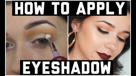 How To Apply Eyeshadow For Beginners Makeup 101 Youtube