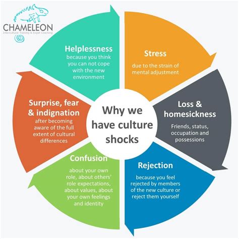 Why We Experience Culture Shock Chameleon Intercultural Training