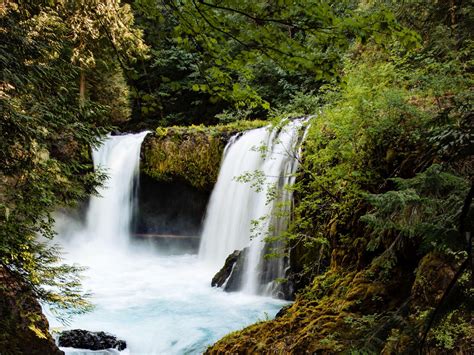 Waterfalls Pouring On River Bushes Green Trees Forest Background 4k