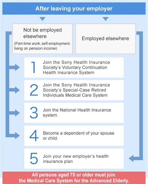 When you leave your job you have a few choices. After you leave your employer | Health insurance system | Sony Health Insurance Society