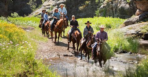 Guided Trail Rides Custer State Park Resort