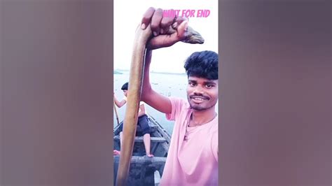 Big Fish Fishing 🎣 Part46 Fish Pakdane Ka Tarika Amazingfishingfish