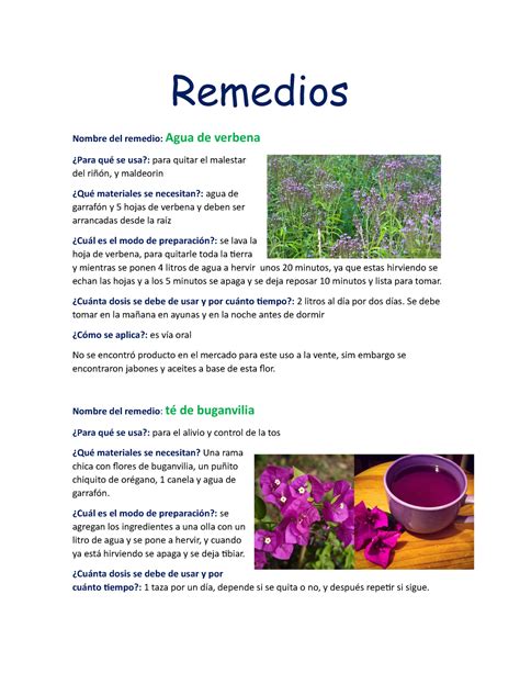 Remedios Caseros Metodologia De La Informacion Material Remedios