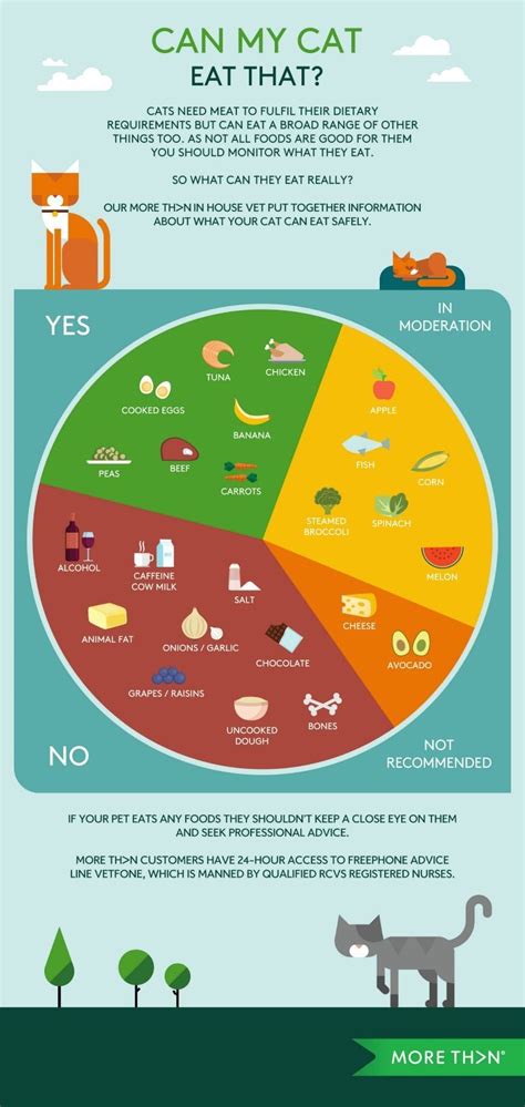 They eat both meat and plants equally, and can choose to focus on just one. Your Cat | Can my cat eat that? | Your Cat | What cats can ...