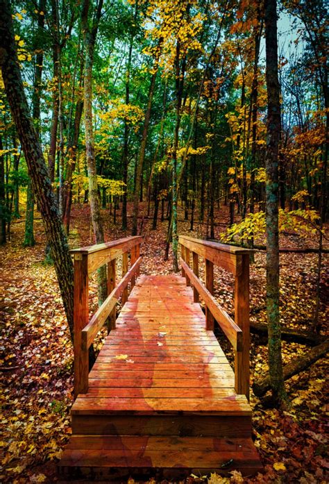 Autumn Bridge Photo By Mark Hartman Source Beautiful