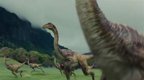 Image Gallimimus Flock In Valleypng Jurassic Park Wiki Fandom Powered By Wikia